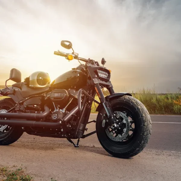 The Hidden Harley Davidson Case