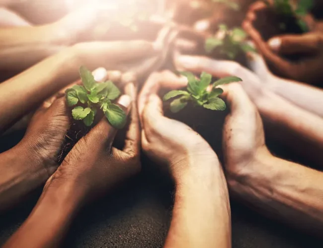 When You Need Support, Here’s Where to Turn